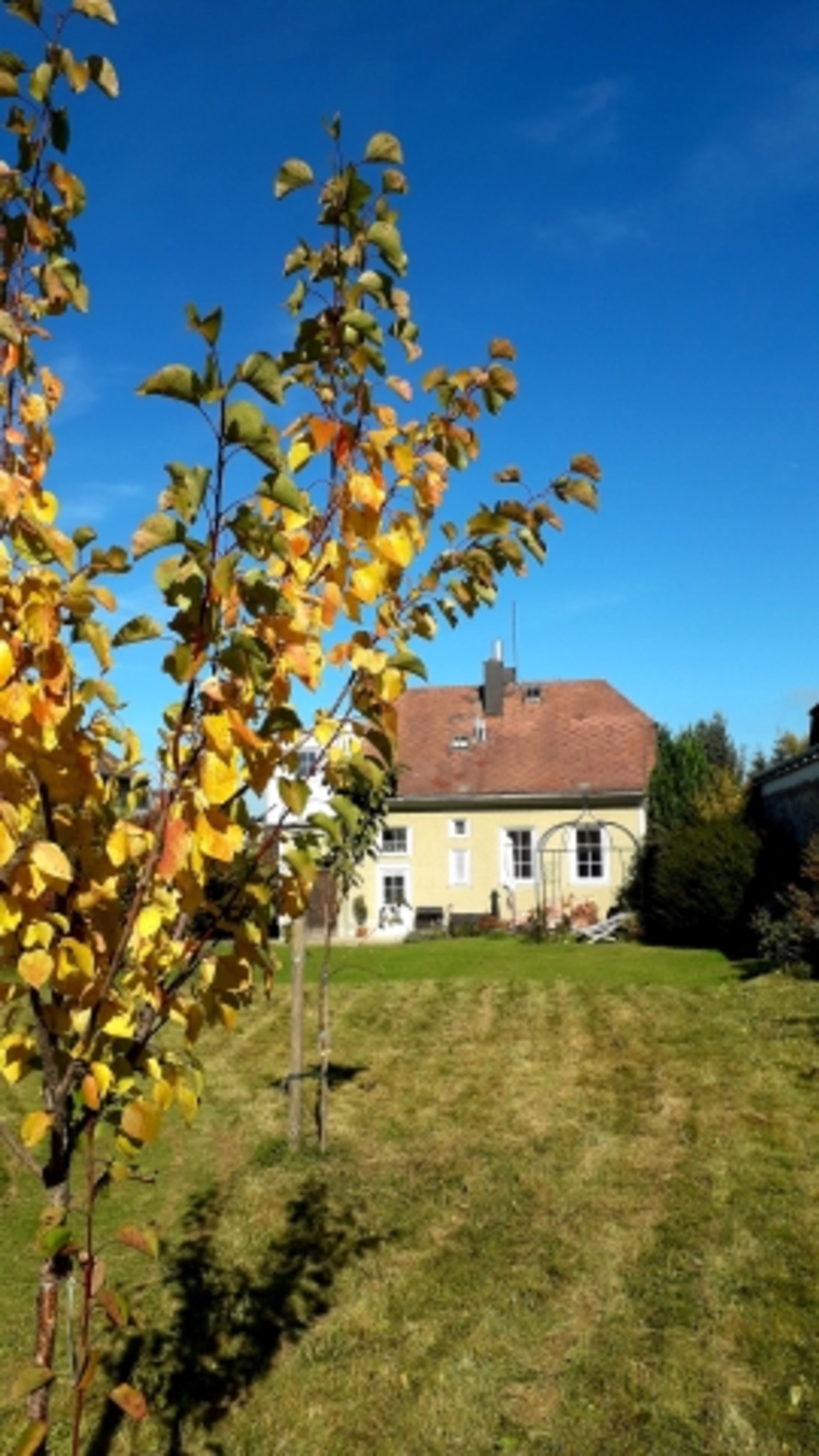 Herbst im Garten der Ferienvilla