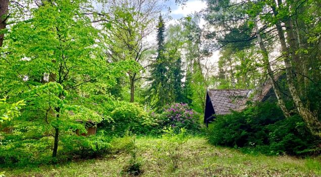 Eingezäuntes Grundstück 