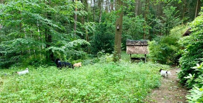 Eingezäuntes Grundstück 