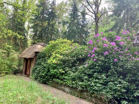 Schuppen mit  Tischtennisplatte