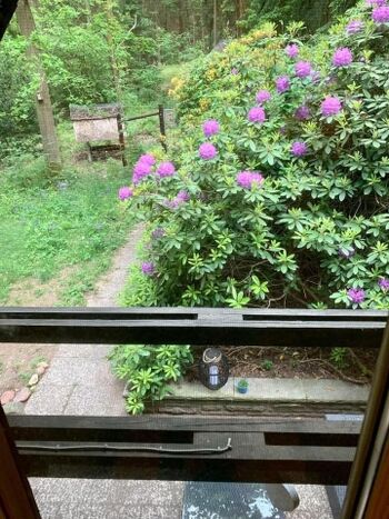 Blick aus dem kleinen Schlafzimmer 