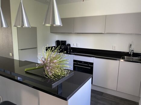 Moderne Küche mit Mittelblock und Theke