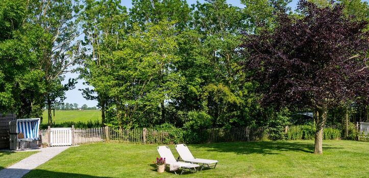 Großer eingezäunter Garten - ideal auch mit Hunden 