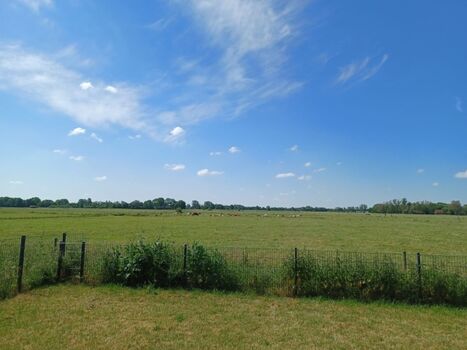 Blick auf Felder und Wiesen