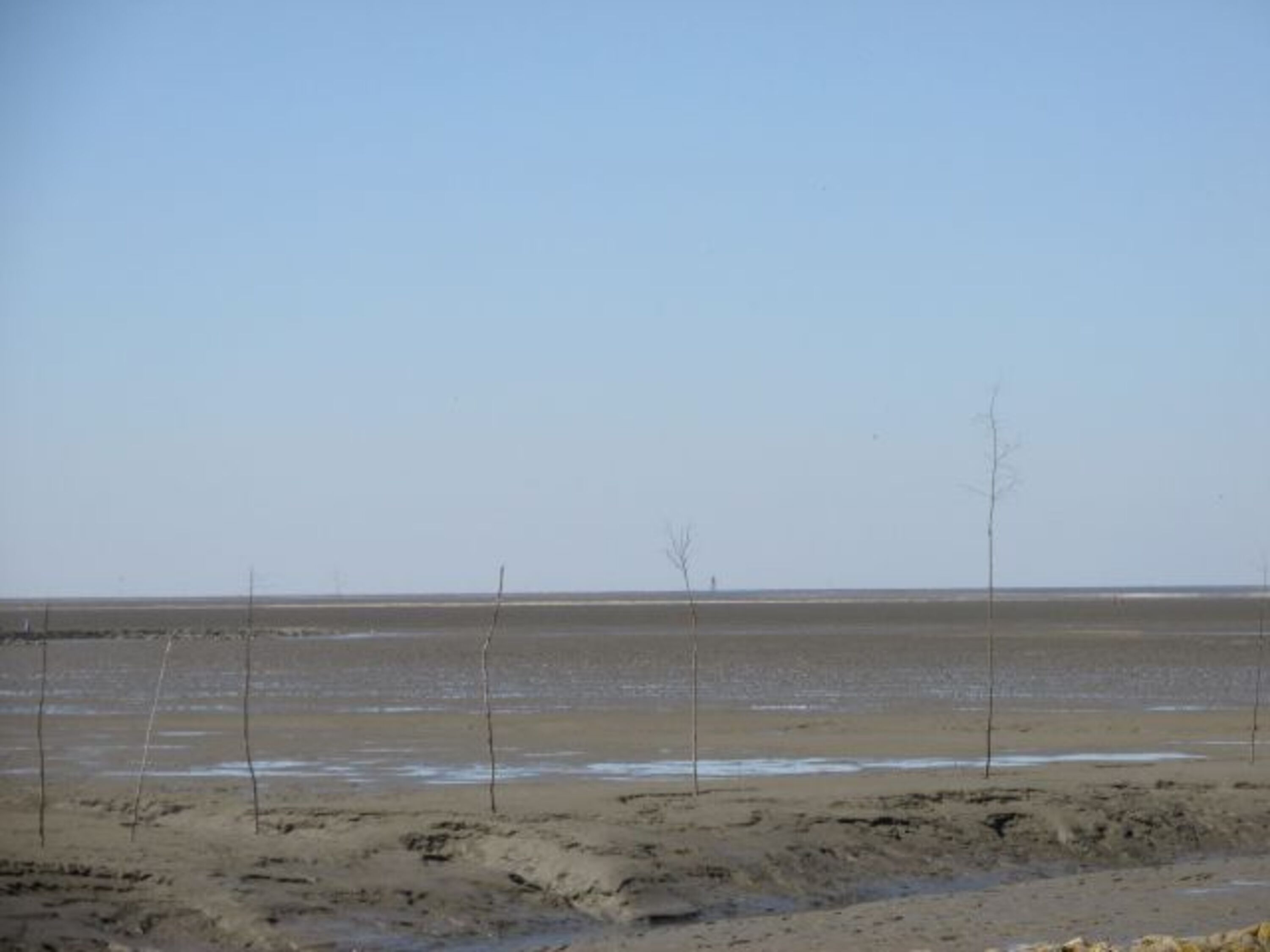 Nordsee / Watt
