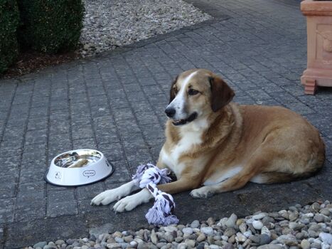 Hier bin ich herzlich willkommen