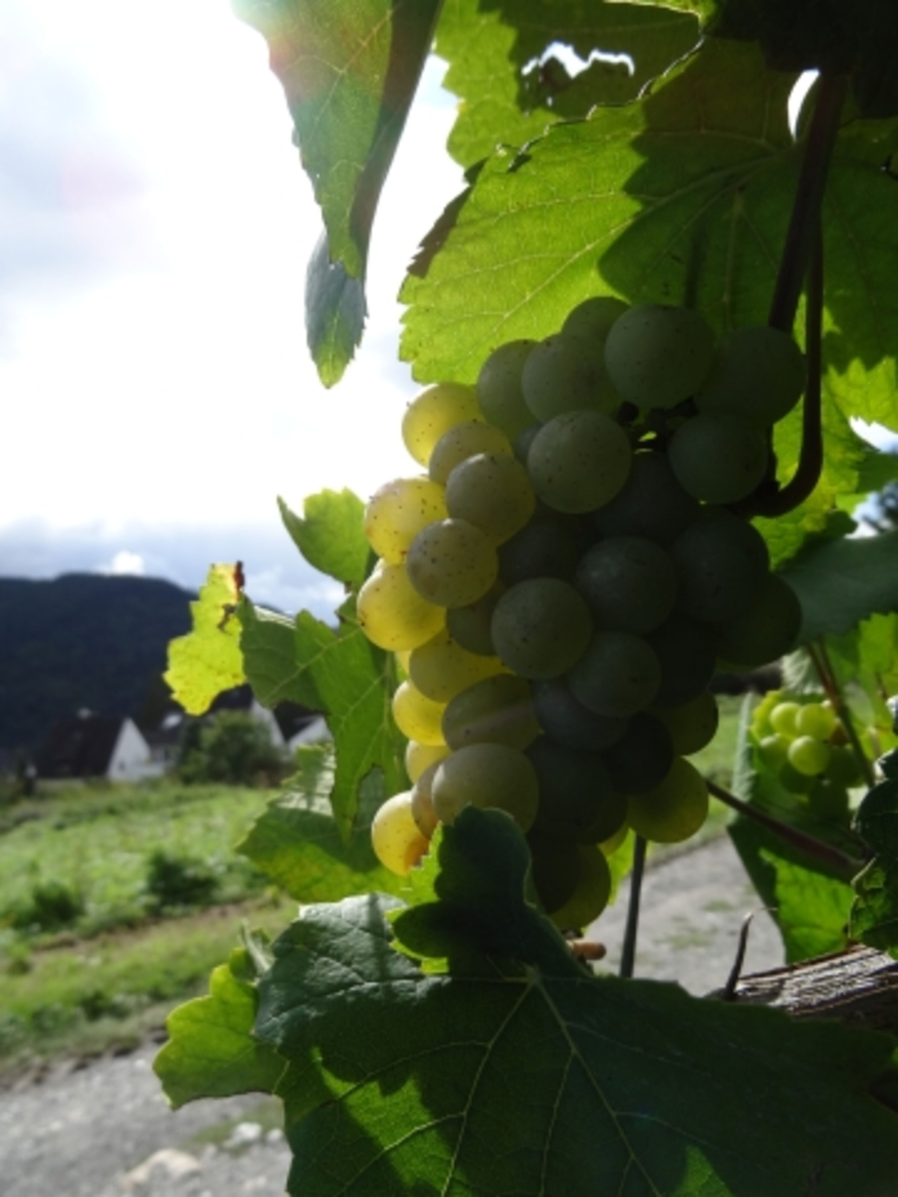 Bild 14