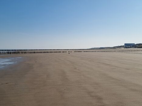 der kilometerlange Sandstrand
