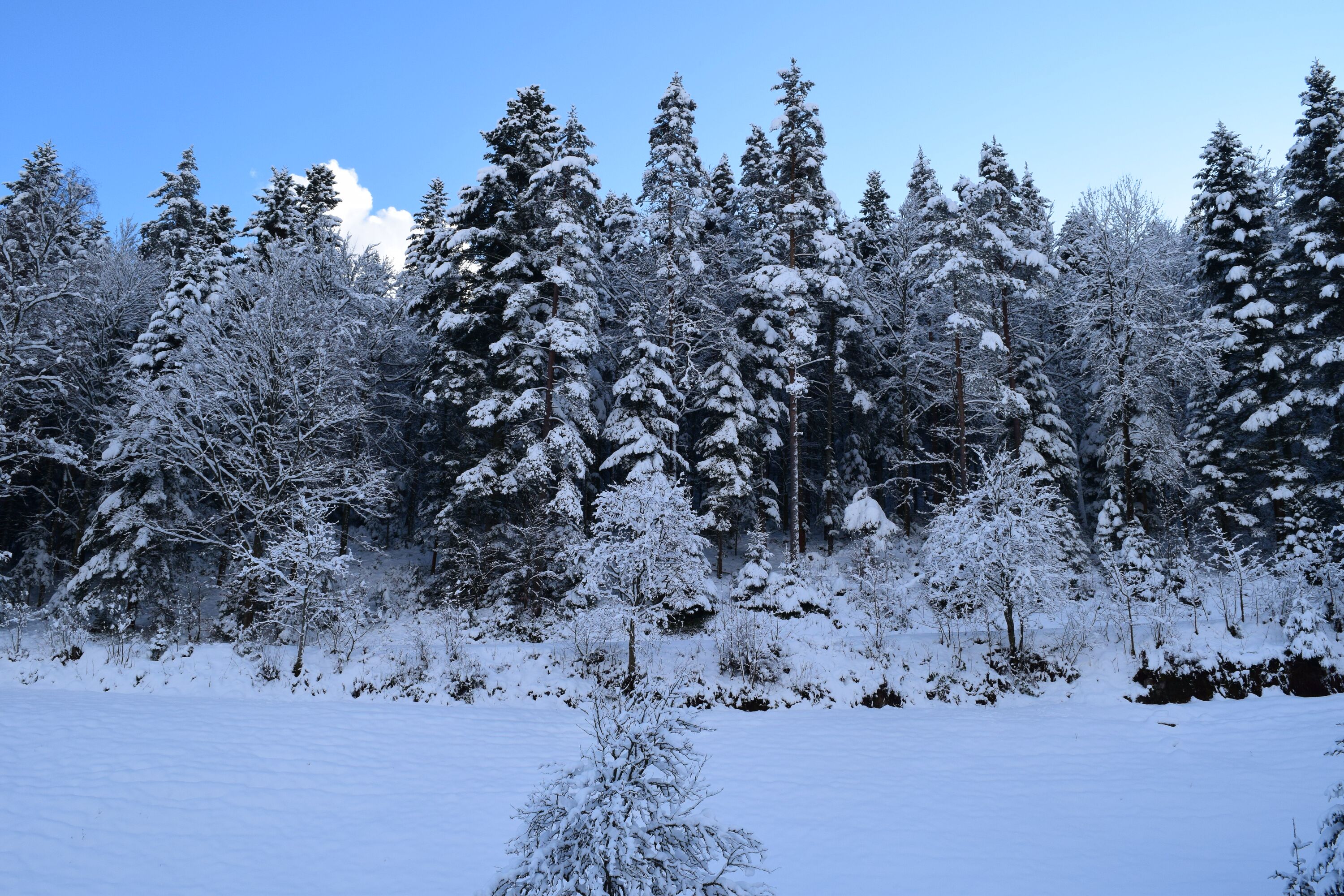 Winterurlaub