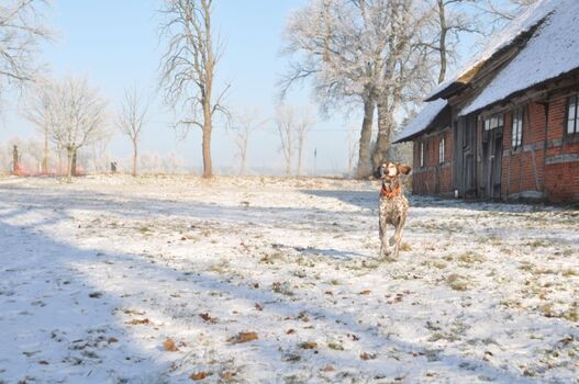 Zu jeder Jahreszeit schön