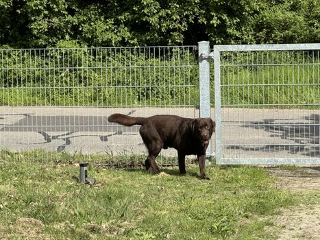 Der 16.000 m² große Park ist komplett 1,2m hoch umzäunt 