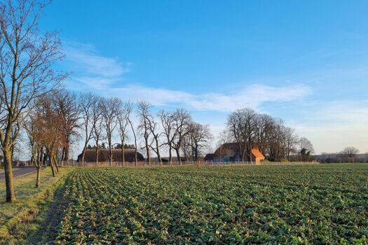 Wunderbare Abseitslage - hier stört nichts Ihre Erholung.  Rechts das Ferienhaus, links die ungenutzte Remise