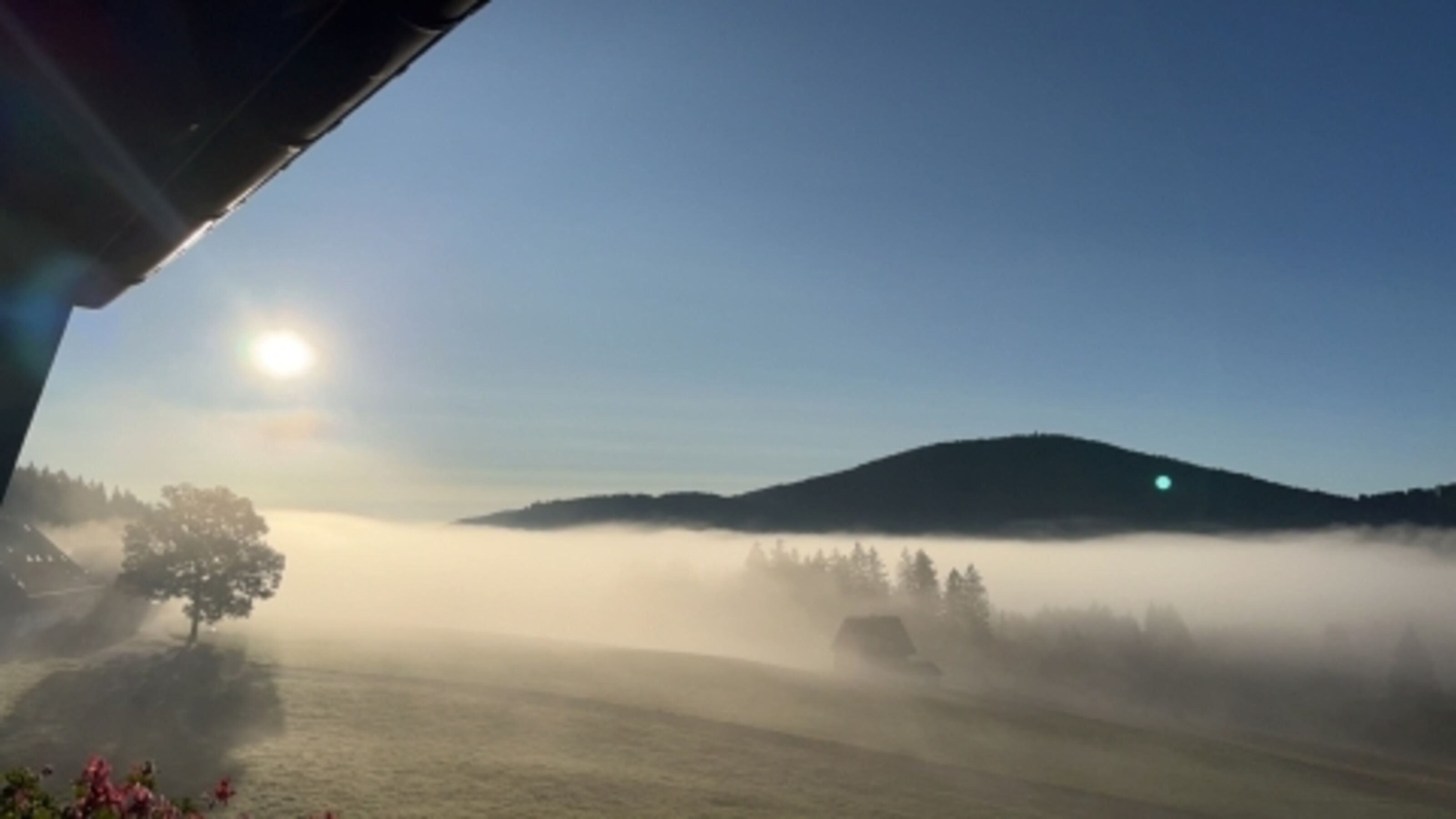 Aussicht auf den Hochfirst