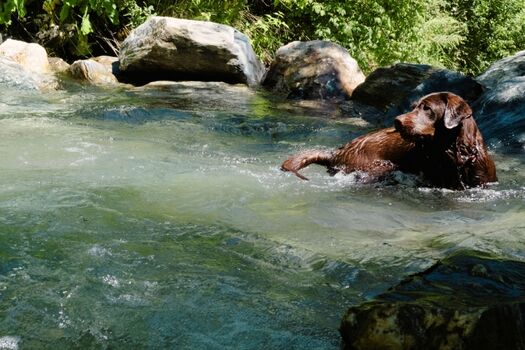 Badeplatz direkt am 5 Sterne Chalet