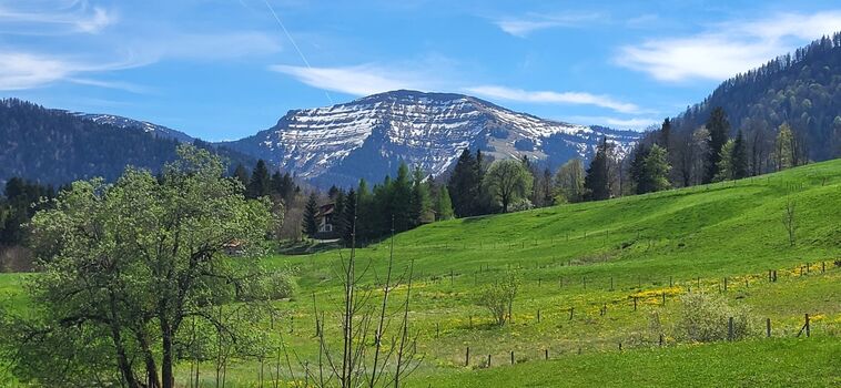Hochgrat im Frühjahr