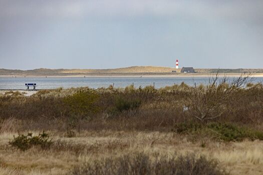 Ausblick vom Appartement