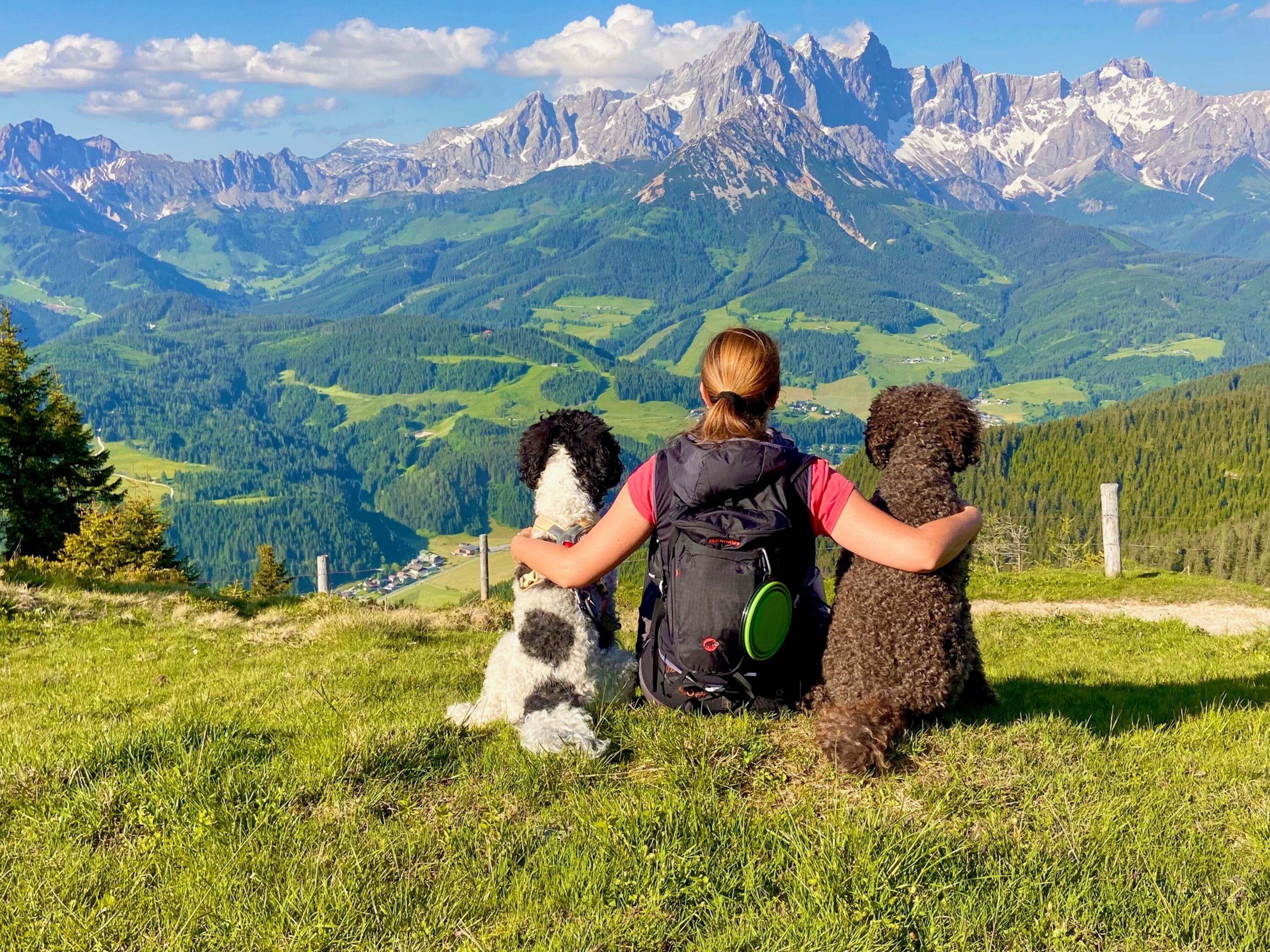 unsere lieben Stammgäste