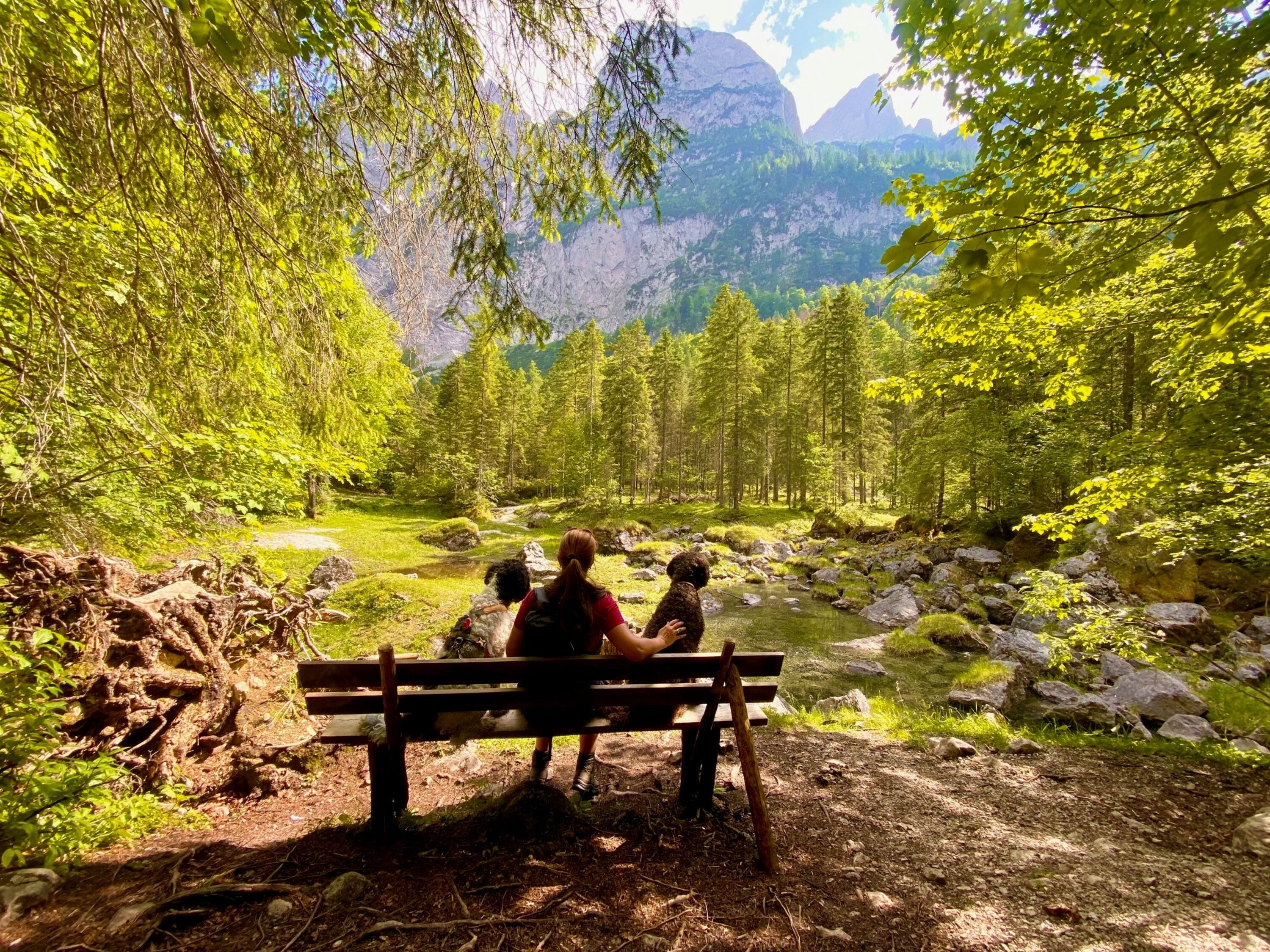tolle Wanderungen mit Hund