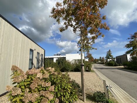 In ruhiger Sackgasse gelegen. Eigener Parkplatz direkt am Haus