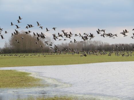 Toll für Naturliebhaber
