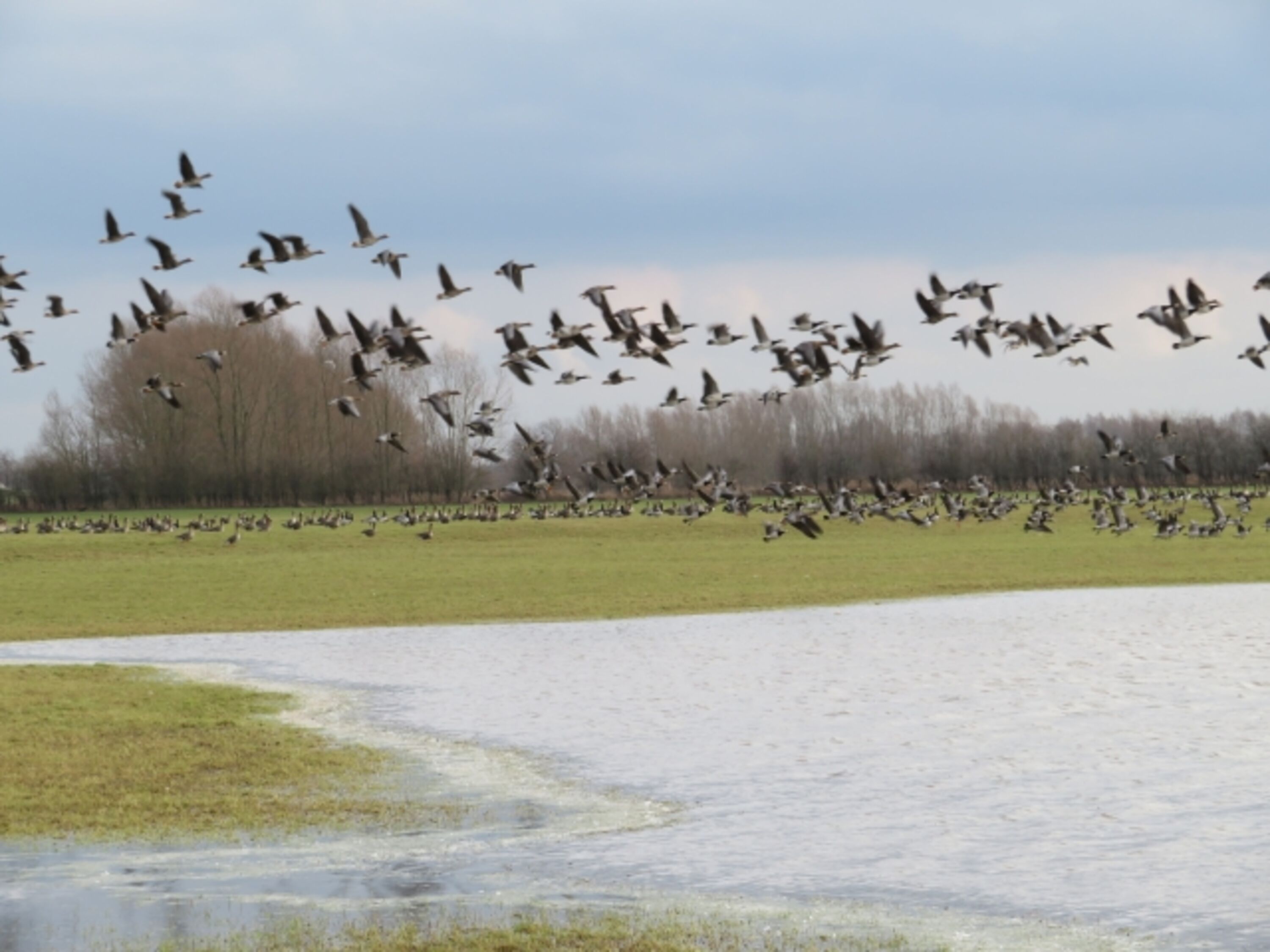 Toll für Naturliebhaber