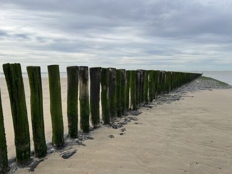 Foto fürs Urlaubsalbum