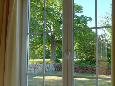 Blick aus der Terassentür in den Garten