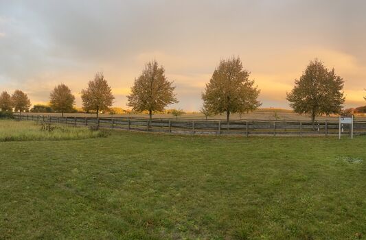 Blick in den riesigen Garten