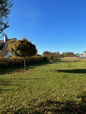 Blick in den riesigen Garten