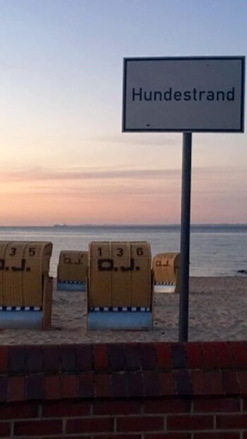 Hundestrand 