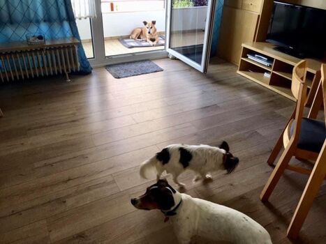 Wohnzimmer mit großem Balkon und Meerblick 