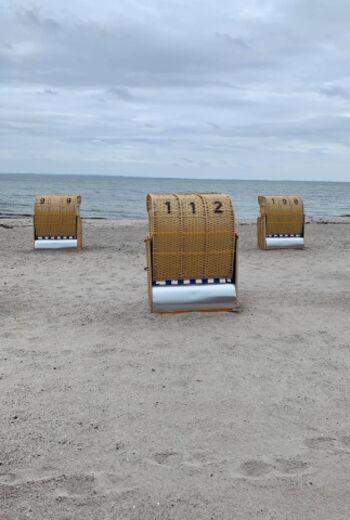 Strandkorb am Hundestrand inklusive 