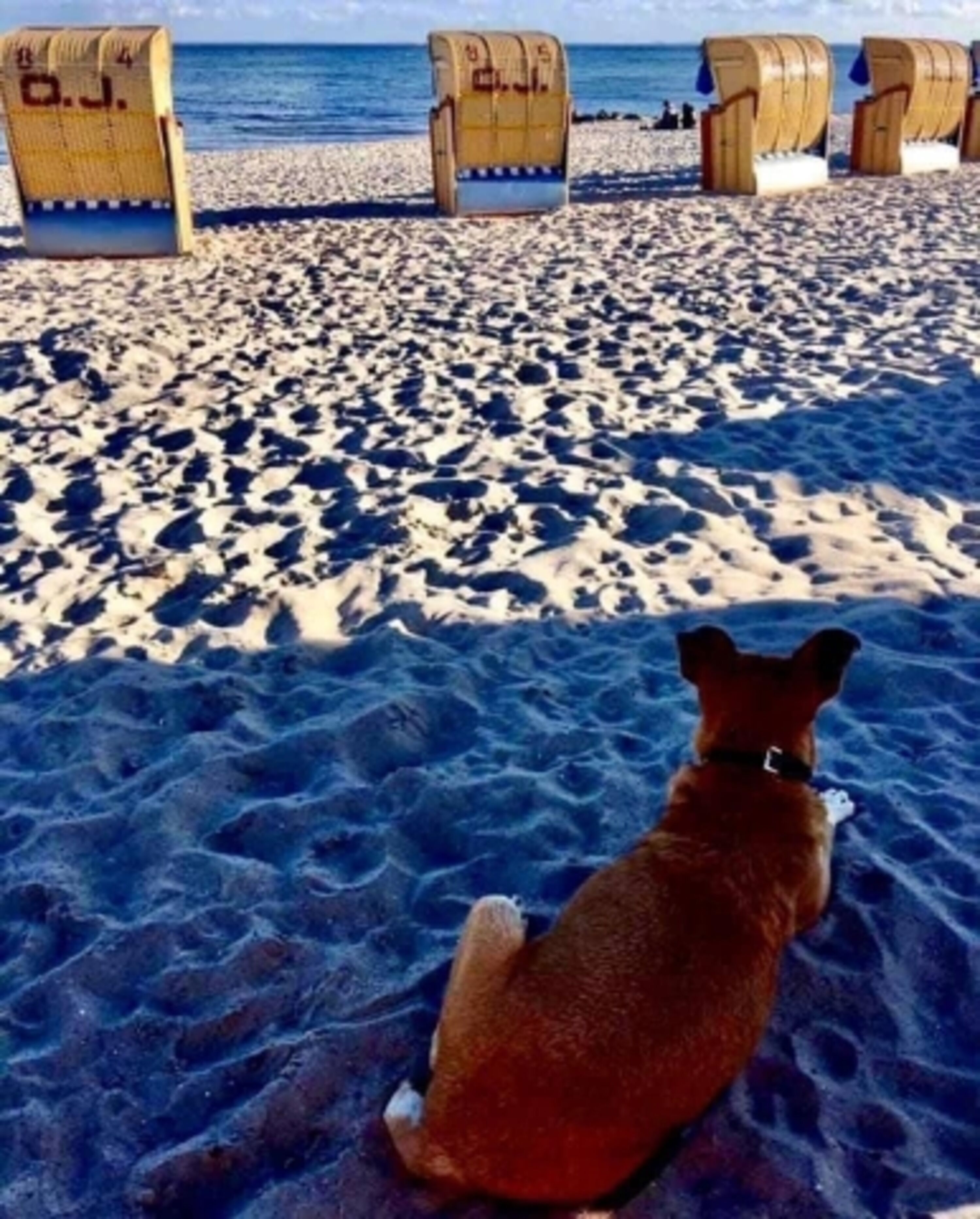 Hundestrand 