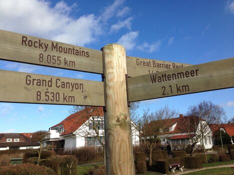 Das Wattenmeer gehört zum Weltnaturerbe wie der Grand Canyon 