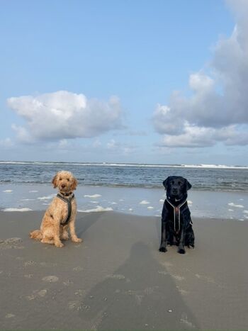 "Wir lieben die Weite"