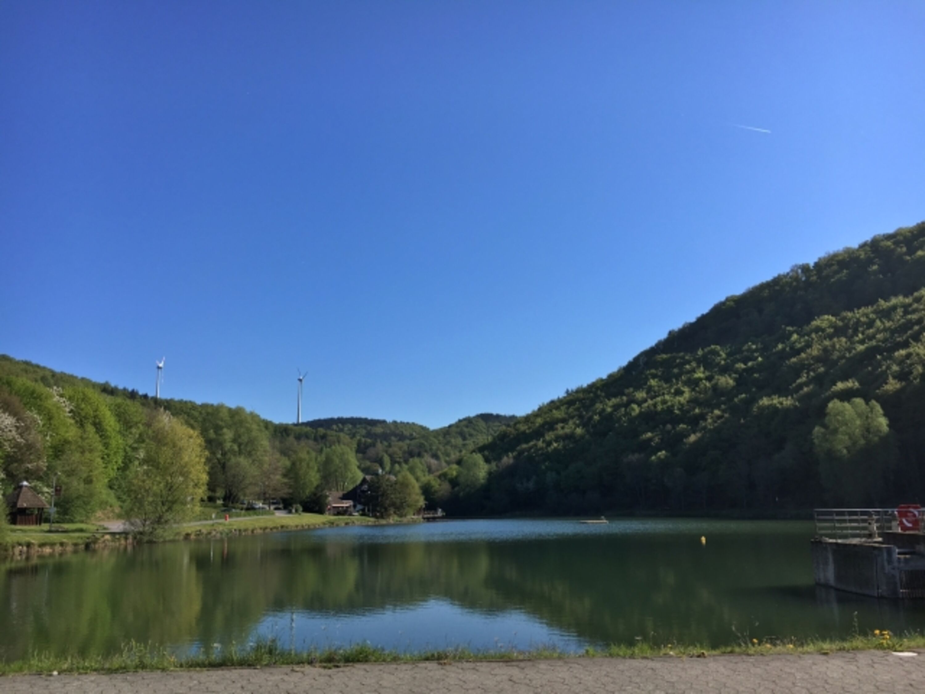 Waldsee Rieden