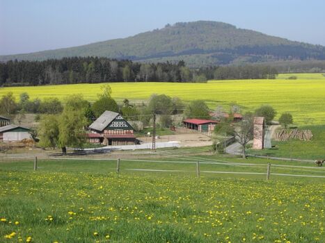 Kleiner Gleichberg, Keltenberg