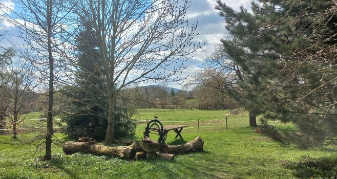 Grillplatz  Gut Friedenthal