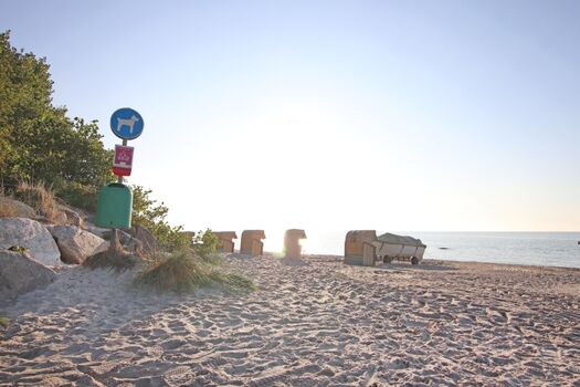 Hundestrand, 100 Meter entfernt