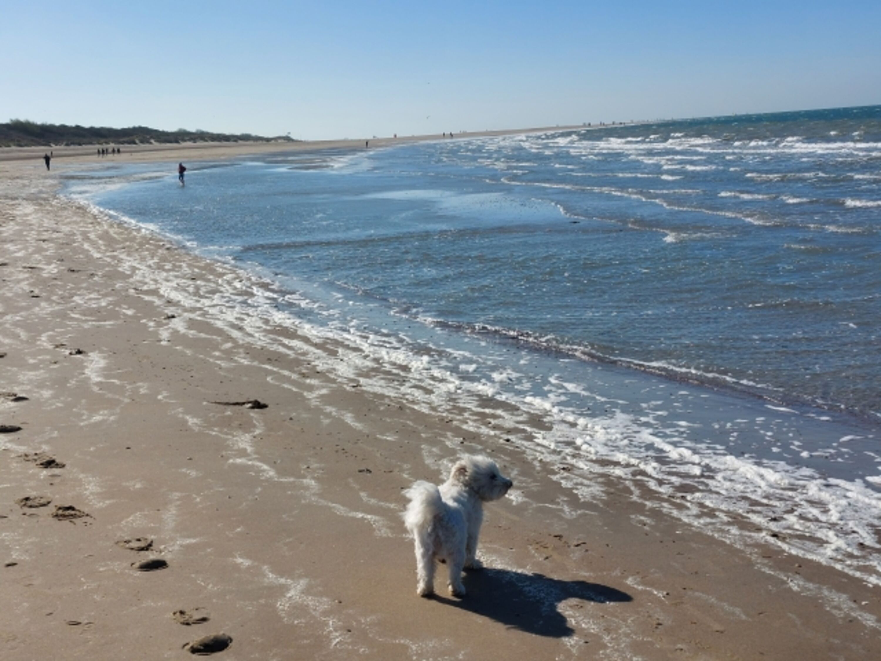 Nordseestrand