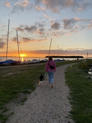 Hunde sind überall willkommen 