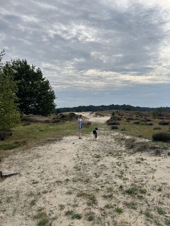 Wandergebiet Hulshorster Woestijn