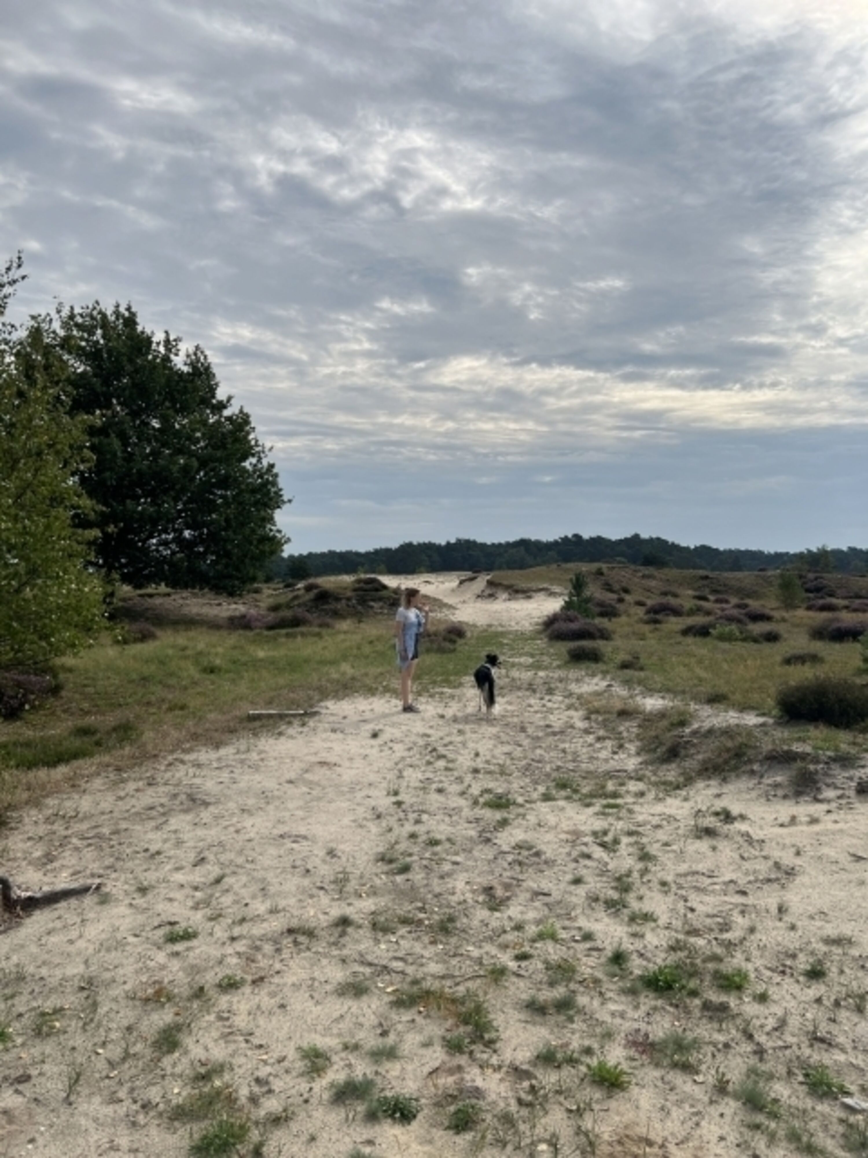 Wandergebiet Hulshorster Woestijn