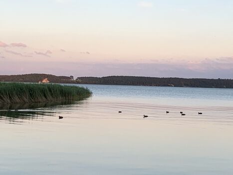 Achterwasser 150 Meter vom Haus 