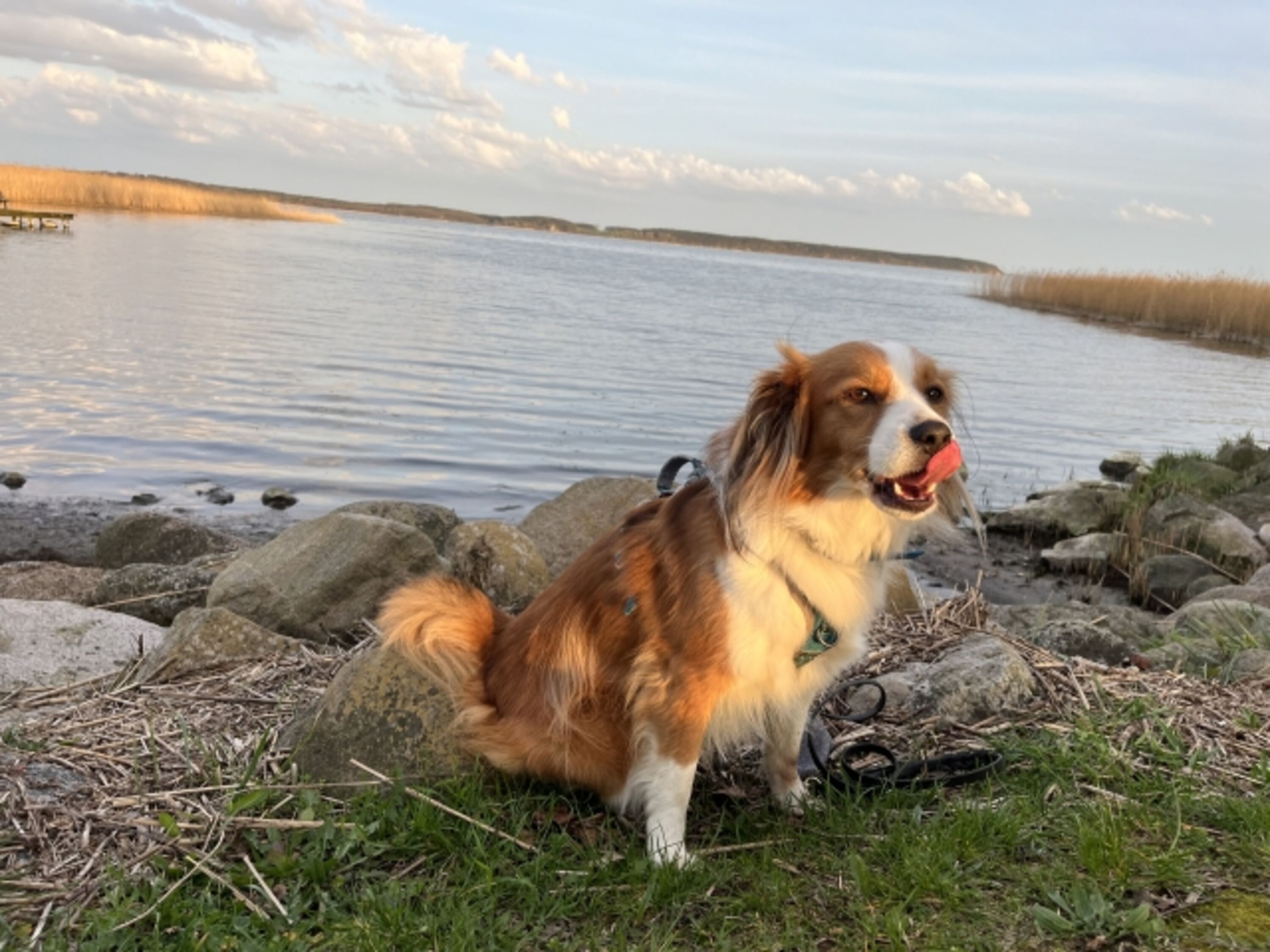 Unser Tobi ?