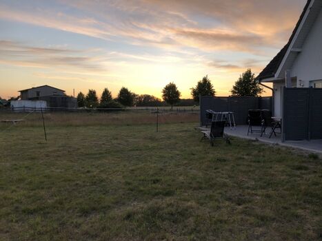 Blick in den Garten zur Abendsonne