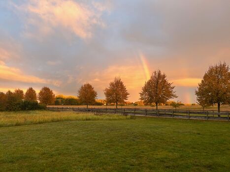 Herbstliche Lichterspiele am direkt im Garten