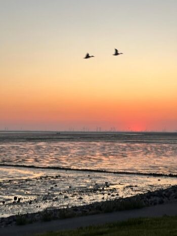 Die schönsten Sonnenuntergänge