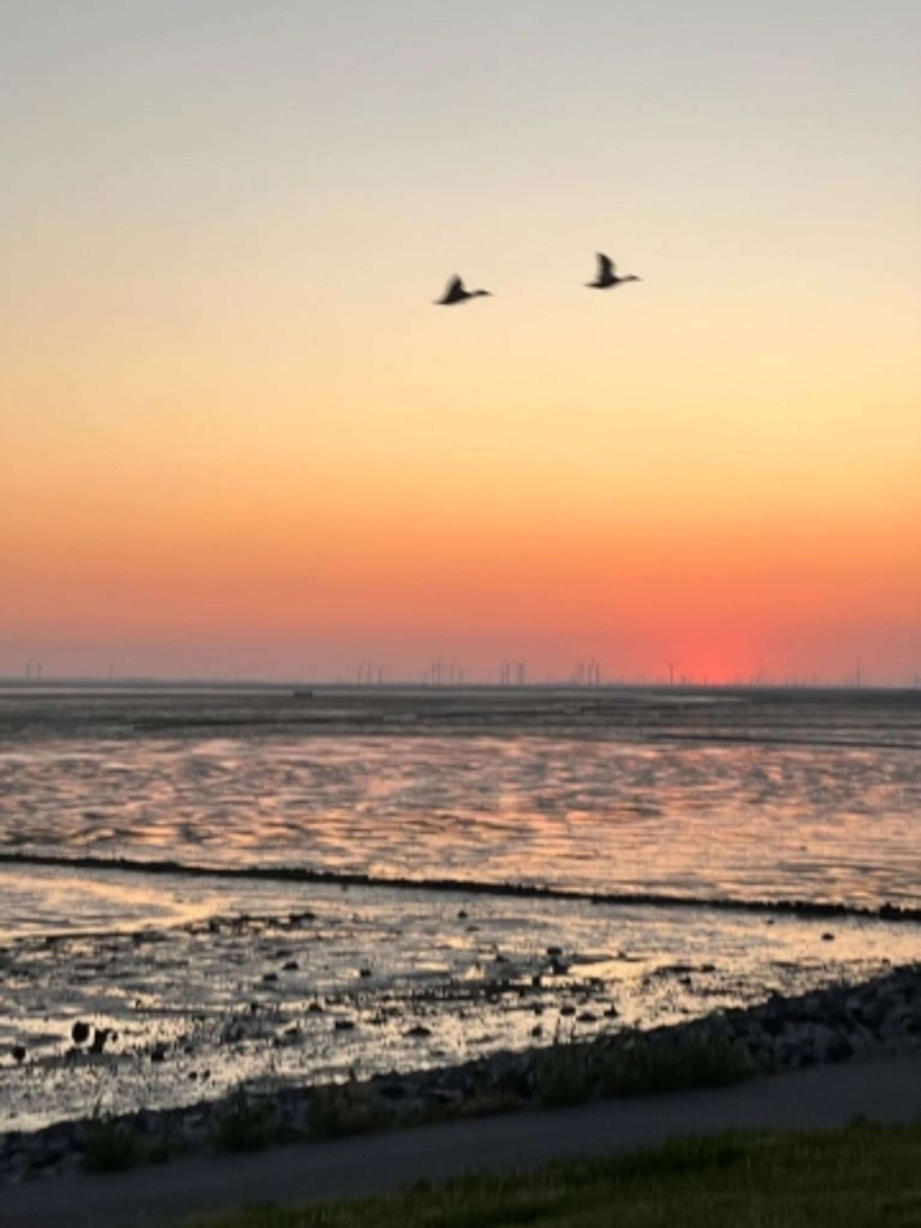 Die schönsten Sonnenuntergänge