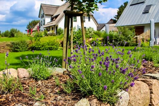 Blick auf den Kamphof